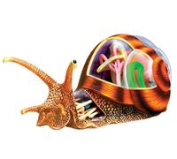 Modello di anatomia delle lumache, giocattolo di assemblaggio di puzzle di simulazione, 32 parti staccabili for l'assemblaggio di puzzle di organi di biologia degli insetti for lo studio