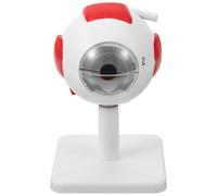 Modello Di Anatomia Dell'occhio Bulbo Oculare Ingrandito Anatomico Modelli