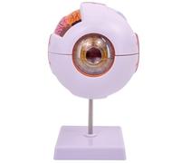 Modello di anatomia dell'occhio umano in 7 parti ingrandito 6X con supporto, modello di bulbo oculare realistico staccabile per studio in aula di scienze, visualizzazione didattica, istruzione