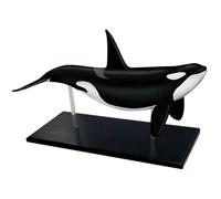 Modello di anatomia dell'organo della balena 4D, anatomia dell'organo di anatomia animale, decorazione dell'organismo marino, 16 parti dell'organo staccabili per l'insegnamento