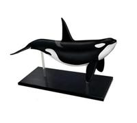 Modello di anatomia di un animale, un organo, un pesce oceanico, modelli anatomici di animali, modello di organismo marino, organi interni di un delfino, 18 pezzi, animale blu staccabile