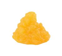 Modello di anatomia fisiologica per l'insegnamento in aula del grasso