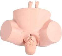 Modello di anatomia pelvica per l'educazione - Dimensioni realistiche con punti di riferimento anatomici - Modello completo che illustra i metodi di parto femminile