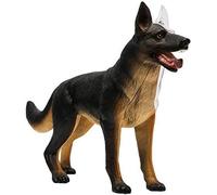 Modello di anatomia per cani da visione, modello di anatomia per lupo e cane, 29 pezzi di organi rimovibili per allenamento medico