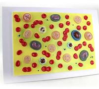 Modello di assemblaggio di cellule ematiche umane anatomiche 2.000 volte | Ingrandimento Ematologia Medicina interna Fisiopatologia Globuli rossi Globuli bianchi Modello anatomico