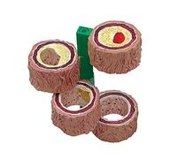 Modello di Aterosclerosi, Modello di Trombosi dei Vasi Sanguigni, Ingrandimento 10X dei Sussidi Didattici per La Medicina Sull'evoluzione del Trombo, Modello di Insegnamento della Medicina