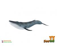 Modello di balenottera azzurra 27 cm