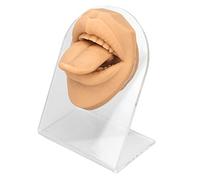 Modello di bocca in lingua silicone,modello flessibile Parti di parte del corpo con supporto acrilico simulazione del modello umano realistico per la visualizzazione degli utensili (Colore della