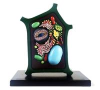 Modello di cellula vegetale Modello di anatomia vegetale Modello cellulare - Modello didattico - Modello per l'insegnamento della biologia - per l'educazione scientifica