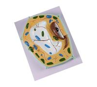 Modello di cellule animali ABS per l'apprendimento interattivo della | Modello permanente di cellule animali ABS per un uso duraturo nelle lezioni di biologia e istruzioni in classe