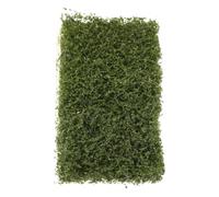 Modello di Cespugli Realistici Verdi per Paesaggi in Miniatura | Plastica, Assemblaggio a Strappo, Simulazione Dettagliata, per Progetti da Scrivania, Compatibile Scenari Militari e Case