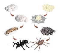 Modello di Ciclo di Vita, Giocattoli del Ciclo di Vita per, Figure di Formiche, Figure di Animali Ciclo di Vita, Giocattoli di apprendimento ed educazione per 3 Anni e oltre, attività di apprendimento