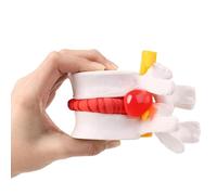Modello di Colonna vertebrale Lombare a grandezza Naturale 1,5 Volte per l'insegnamento, Modello anatomico Umano di ernia del Disco Lombare, ernia Portatile del Disco delle Vertebre