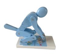 Modello di colonna vertebrale per sollevamento umano, strumento dimostrativo pieghevole per sollevamento pesi, strumento didattico per la protezione della forza della colonna vertebrale(Blue)