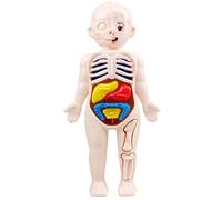 Modello di corpo umano per bambini, kit di modello di scheletro del corpo umano da 18 cm con organi staccabili, kit di scienze interattive con figure anatomiche in ABS, giocattoli educativi STEM per