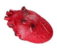 Modello di cuore umano per la decorazione del partito di Halloween e spaventoso terrificante parte del corpo simulazione evento forniture per feste cuore realistico