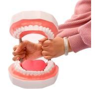 Modello di Cure odontoiatriche, Modello di Denti dentali 6 Volte più Grandi con spazzolamento della Lingua Staccabile per Bambini e Modello didattico di igiene Orale del Dentista