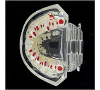 Modello di denti decidui - Ausilio didattico primario e permanente for l'educazione e l'esposizione odontoiatrica