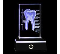 Modello di denti in cristallo con anatomia dentale incisa, decorazione educativa da scrivania 3D, base luminosa a LED regolabile per cliniche e accademie