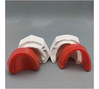 Modello di Denti, Modello anatomico - Modello di Disposizione dei Denti della Bocca Intera in Cera - Modello di Studio - Base in Cera Morbida per Disposizione dei Denti Artificiali