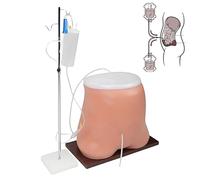 Modello di dialisi peritoneale dinamica umana, modello di dialisi peritoneale per addestramento medico con supporto e tubo, simulatore di manichino addominale per studio dimostrativo