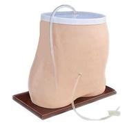 Modello di dialisi peritoneale, modello di dialisi peritoneale for la formazione medica, modello di dialisi peritoneale for la formazione medica, ideale for la formazione medica e la dimostrazione