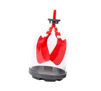 Modello di dimostrazione polmonare giocattolo educativo Education