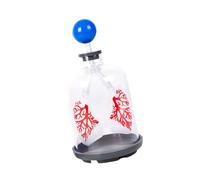 Modello di educazione medica per il movimento del diaframma e lo scambio polmonare Dimostrazione in aula Uso Forte Costruzione Diaframma Modello Medicals Tool