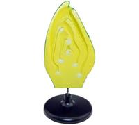 Modello di embrione di seme vegetale Modelli di anatomia vegetale Modello anatomico, struttura anatomica del germoglio Modelli scientifici Modello dimostrativo Strumento scientifico ed educativo