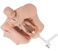Modello di formazione al parto, modello di formazione ostetrica con cordone ombelicale e bambino, modello di parto a manovella, macchina didattica educativa