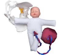 Modello di formazione ostetrica avanzata Modello per il parto Strumenti di insegnamento dell'istruzione con modello pelvico e modello infantile adatto all'educazione alla nascita infantile