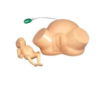 Modello di formazione ostetricia e ginecologia, dimensioni reali, dimostrazione del parto femminile, simulatore di parto ostetricia e ginecologia, modello avanzato di formazione ostetrica, per