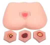 Modello di formazione sull'ulcera da decubito Kit per la cura delle ferite da decubito 4 stadi delle piaghe da letto Modello di simulazione pratica delle piaghe decubito Modello didattico