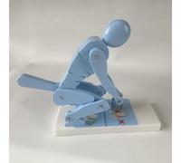 Modello di forza della colonna vertebrale per sollevamento pesi, display interattivo di sicurezza per il fitness con base, correzione della postura e strumento didattico per la protezione della colo