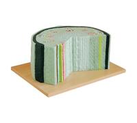 Modello di gambo di erbe dicotiledoni, struttura del tessuto di anatomia dello stelo vegetale, modello ingrandito in sezione trasversale, for ausili didattici di biologia.