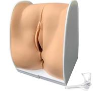 Modello di Genitali Interni Femminili, Modello Umano Modello di Addestramento Iud, Modello di Utero Femminile A Grandezza Naturale con Struttura Anatomica Accurata per Osservare I Principi