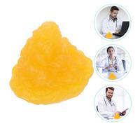 Modello di grasso 1pc Modello di dimostrazione del tessuto grasso umano per gli
