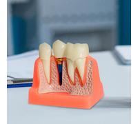 Modello di impianto con rimovibile e ponte a per esercitazioni