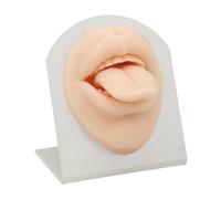Modello di lingua in silicone morbido 3D con supporto riutilizzabile per la pratica di ricerca medica di Piercing Practice