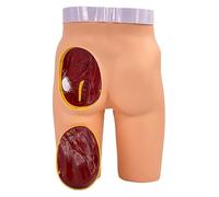 Modello di manichino for addestramento avanzato for iniezioni ai glutei. Il gluteo sinistro è staccabile, la struttura anatomica è precisa e chiara, la simulazione è elevata, adatto for l'uso scolasti