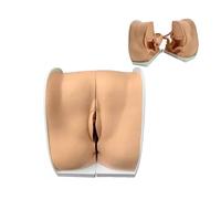 Modello di manichino ginecologico femminile - Modello di guida contraccettiva, modello anatomico dei genitali femminili a grandezza naturale, struttura accurata adatta for l'insegnamento e la presenta