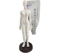 Modello di Meridiano di Agopuntura del Corpo Umano Femminile, Modello di Agopuntura Cinese Modello di Agopuntura del Punto di Pressione