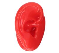 Modello di orecchio in silicone con supporto per la pratica di piercing, orecchio destro, simulazione realistica