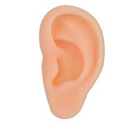 Modello di orecchio simulato professionale Agopuntura Pratica di massaggio Strumento di insegnamento Strumento sinistro dell'orecchio destro per la formazione medica Consulenti (Left Ear)