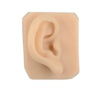 Modello di orecchio umano in silicone morbido - Stampo riutilizzabile for agopuntura artificiale for lezioni di scienze, studio anatomico(Right)