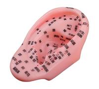 Modello di orecchio umano - Modello anatomico 'orecchio della zona riflessa, per studio, soggiorno, decorazione per lezioni di classe, per principianti e professionisti
