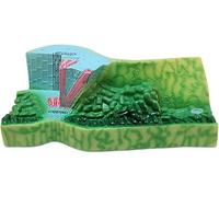 Modello di organi avanzati, modello di struttura della sezione trasversale delle foglie Modelli didattici di biologia Modello di anatomia vegetale for lo studio in aula di scienze for adolescenti.