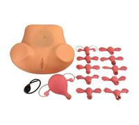 Modello di organi riproduttivi femminili, modello di manichino ginecologico femminile, modello di patologia ginecologica a grandezza naturale, con modello di utero sostituibile adatto, for apprendimen