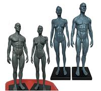 Modello di Organo Umano, Muscolo del Corpo Umano e Modello - Figura Umana - per la Scuola, Altezza 11 Pollici