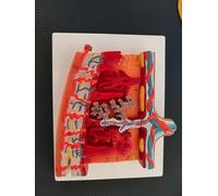 Modello di placenta - Modello di tessuto anatomico umano allargato per uso educativo, sezione trasversale dimostra il flusso sanguigno e la nutrizione per ausili didattici